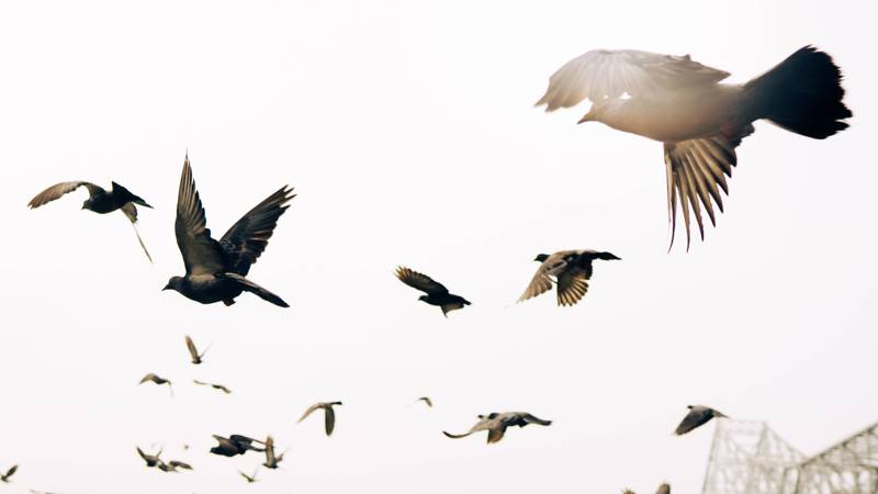 Image 72 photography by PHOTOBOOK