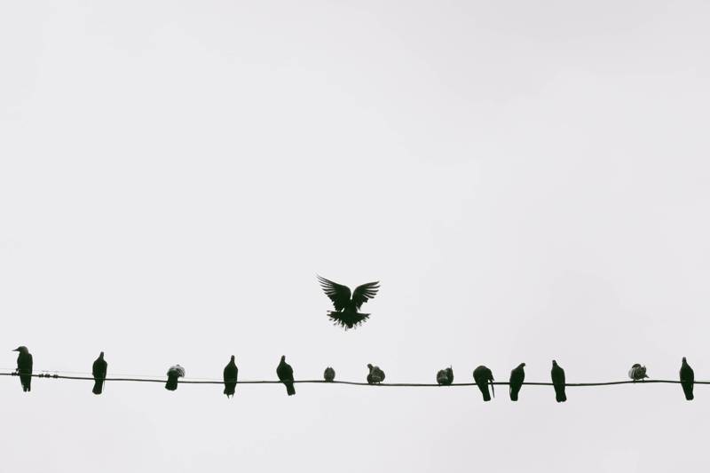 Image 75 photography by PHOTOBOOK