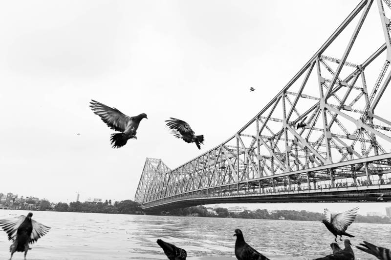 Image 77 photography by PHOTOBOOK
